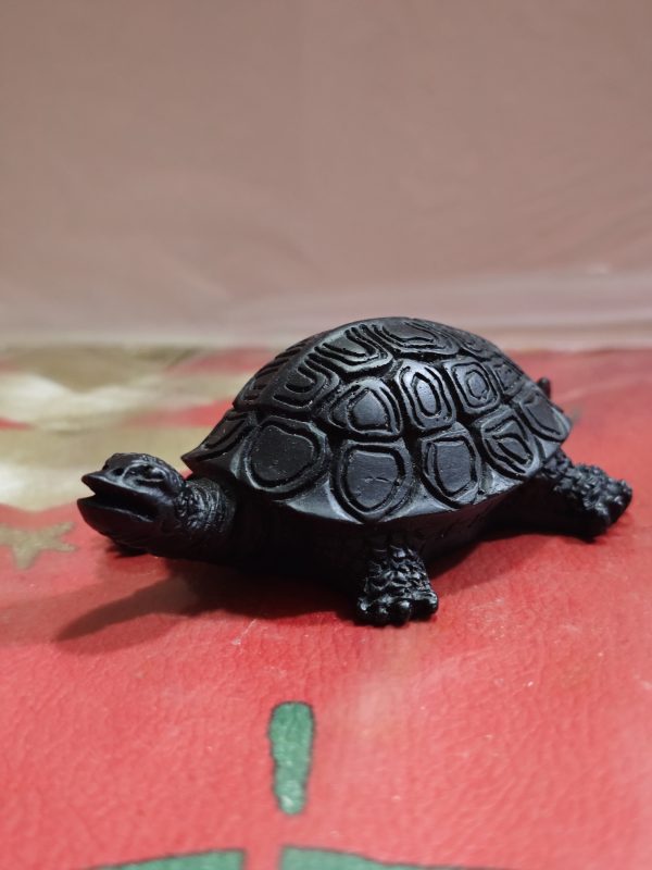 Tortuga Negra