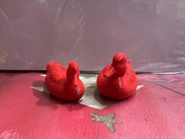 Patos Mandarines