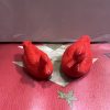 Patos Mandarines - Imagen 2
