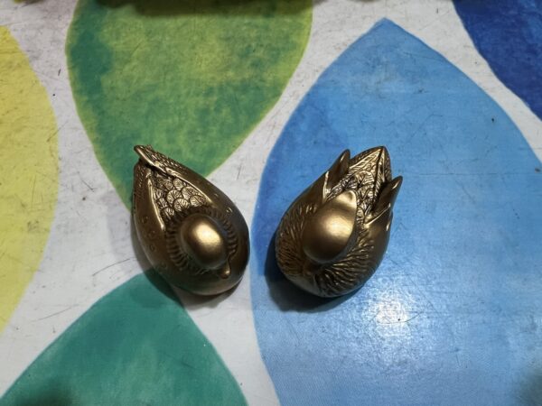 Patos Mandarines - Imagen 2