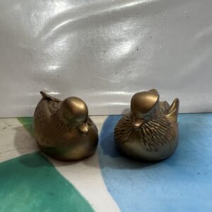 Patos Mandarines