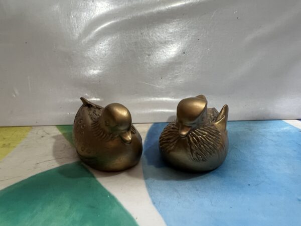 Patos Mandarines