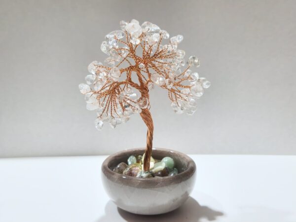 Bonsai Árbol de la Vida - Imagen 4