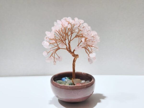 Bonsai Árbol de la Vida - Imagen 2