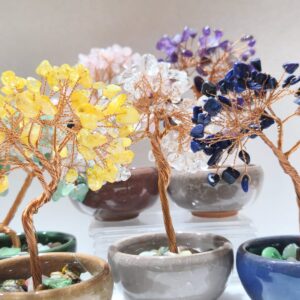 Bonsai Árbol de la Vida