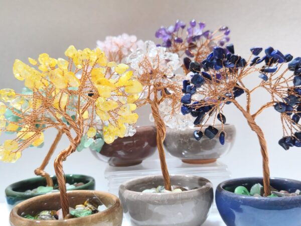 Bonsai Árbol de la Vida