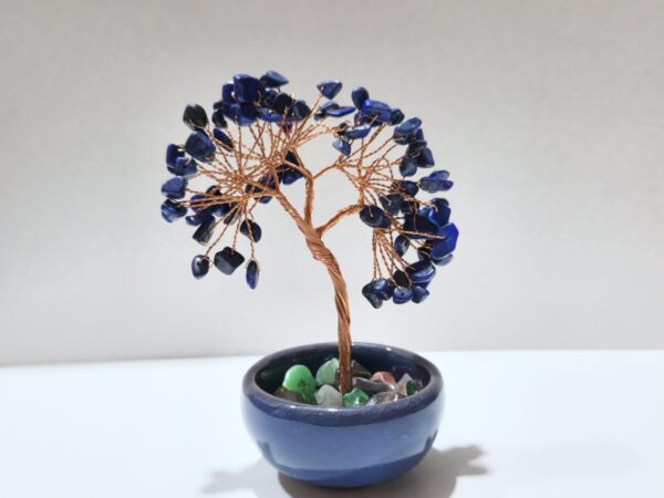 Bonsai Árbol de la Vida - Imagen 3
