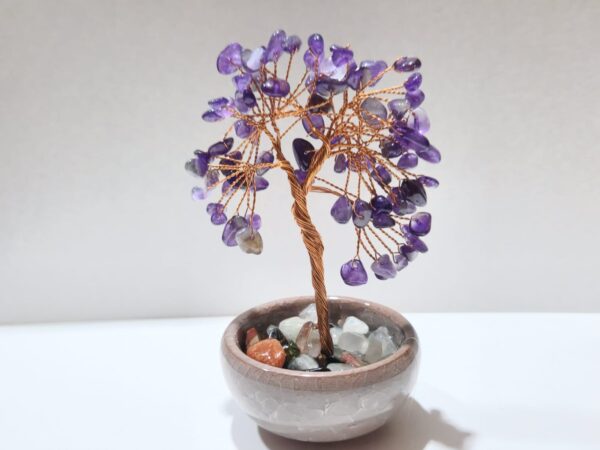Bonsai Árbol de la Vida - Imagen 7