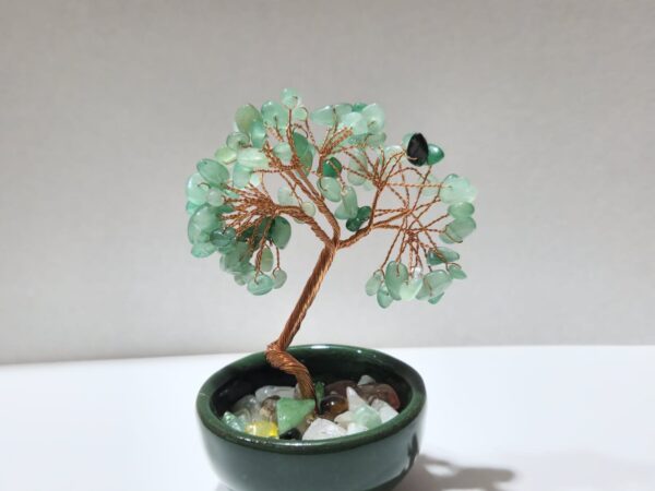 Bonsai Árbol de la Vida - Imagen 6