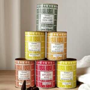 Sahumerios en cono Goloka