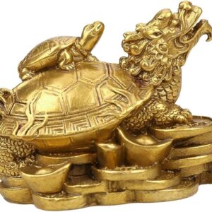 Tortuga cabeza de dragón (Bixi)